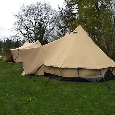 Tent-ok * Westerbeek