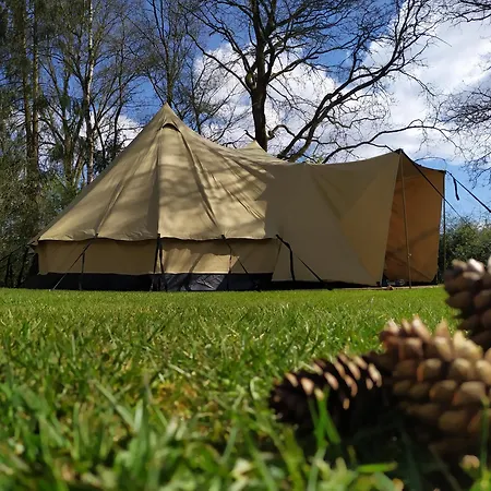 Tent-ok Westerbeek